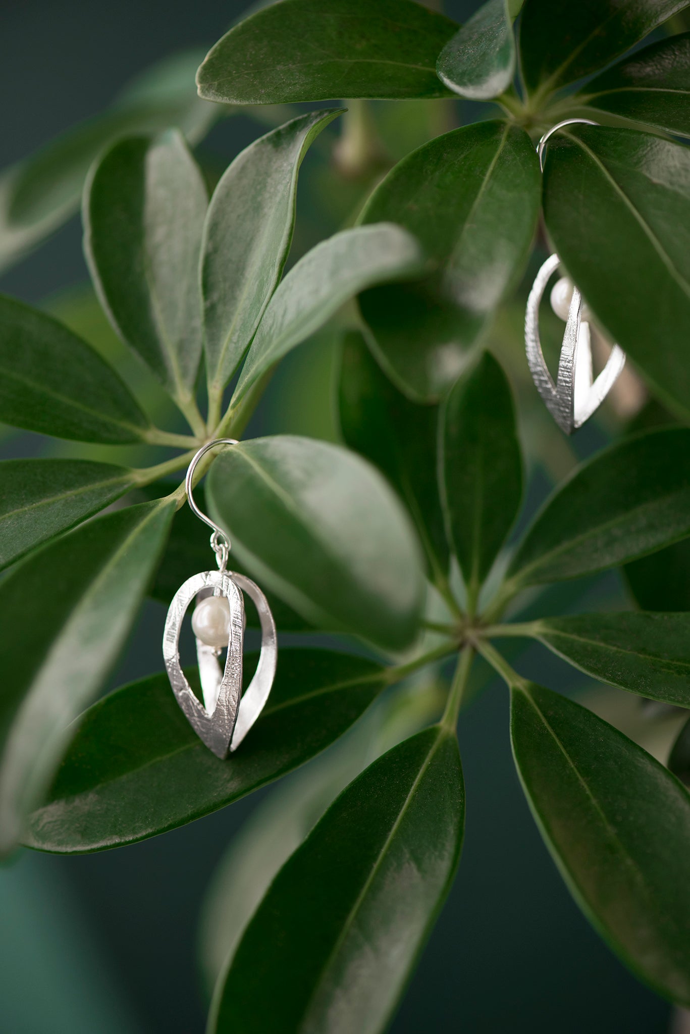 Boucles d'oreilles cage en argent sterling