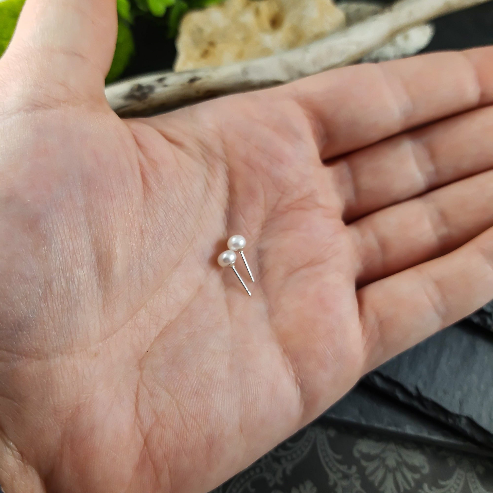 Small white freshwater pearl earrings